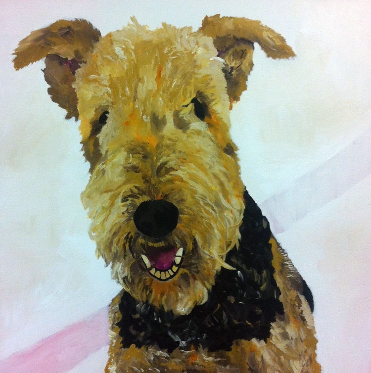 Brodie the Airedale